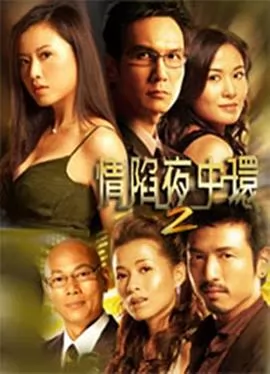 情陷夜中环2国语