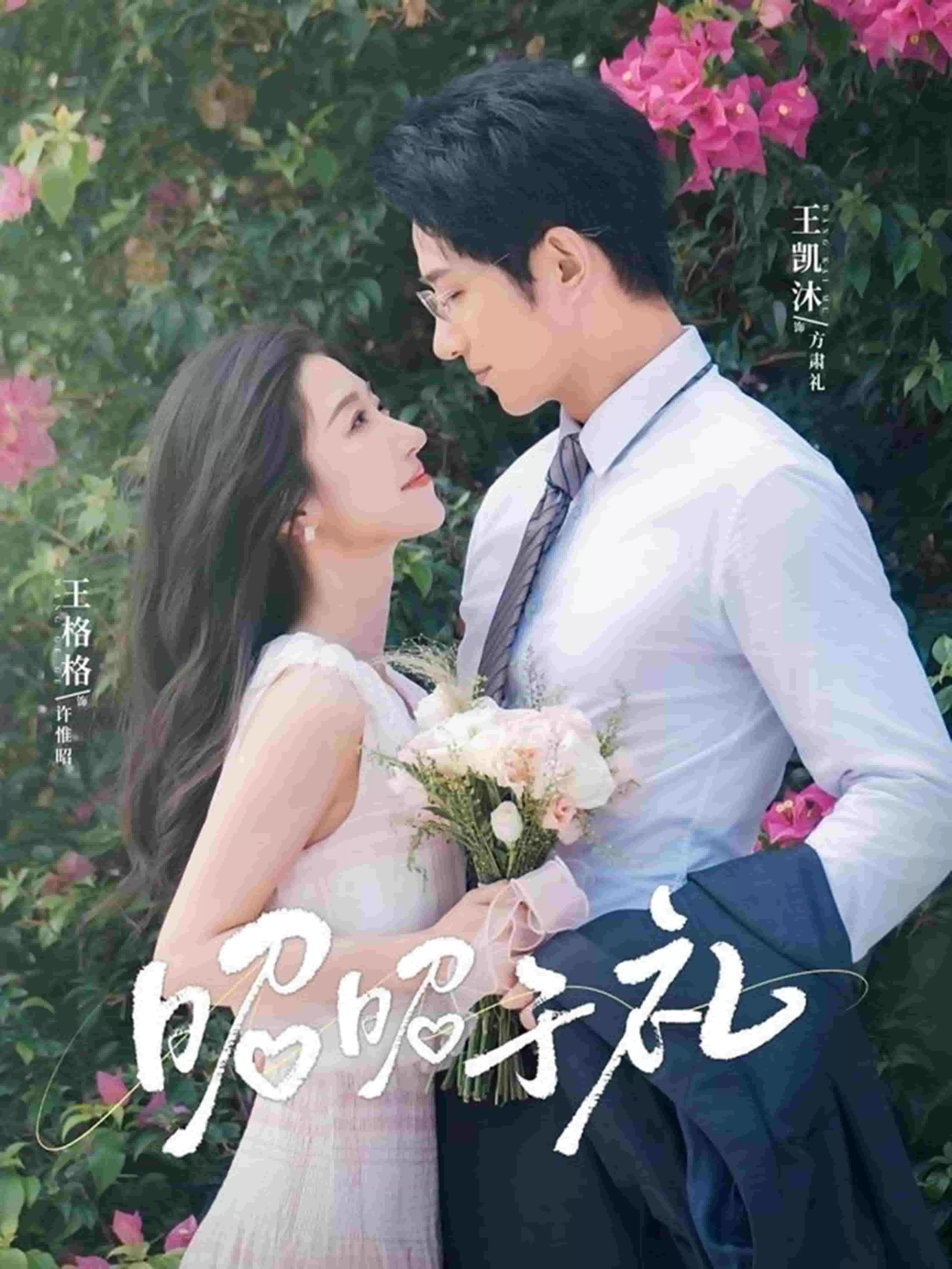 昭昭于礼