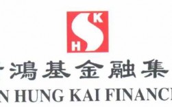香港新鸿基金金融集团（香港新鸿基集团简介）